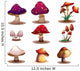Different kinds of mushrooms 