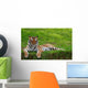Tiger with Closed Eyes Wall Mural