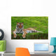 Tiger with Closed Eyes Wall Mural