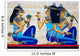 Beautiful Egyptian Papyrus Wall Mural