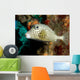A Spotted Trunkfish in the Caribbean Sea Wall Mural