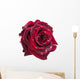 dark red rose Wall Decal