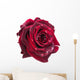 dark red rose Wall Decal