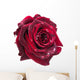 dark red rose Wall Decal