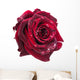 dark red rose Wall Decal