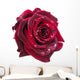 dark red rose Wall Decal