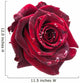 dark red rose Wall Decal