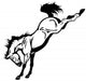 Bucking Horse Wall Decal