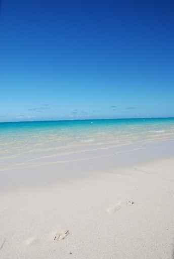 Idyllic Beach Turquoise Mauritius Wall Decal