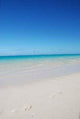 Idyllic Beach Turquoise Mauritius Wall Decal