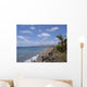Playa Grande Puerto Del Wall Decal