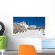 Skiing slope Wall Mural