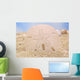 Sand Dollar on Sand Wall Mural