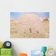 Sand Dollar on Sand Wall Mural