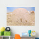 Sand Dollar on Sand Wall Mural