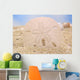 Sand Dollar on Sand Wall Mural