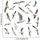 Seabirds Seagull Bird Wall Stickers
