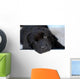 Newfoundland Puppy Wall Decal