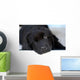 Newfoundland Puppy Wall Decal