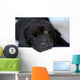 Newfoundland Puppy Wall Decal