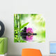 Background spa - orchids black stones and bamboo on water 
