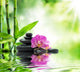 Background spa - orchids black stones and bamboo on water 