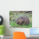 Muskrat Love Wall Decal