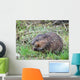 Muskrat Love Wall Decal
