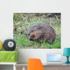Muskrat Love Wall Decal