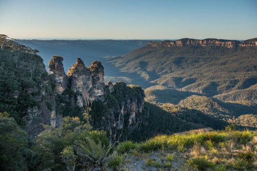 Blue mountain national park NSW, Australia. Wall Mural