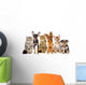 Group of Cats and Dogs in Front. Looking at Camera. Isolated Wall Decal