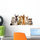 Group of Cats and Dogs in Front. Looking at Camera. Isolated Wall Decal