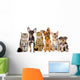 Group of Cats and Dogs in Front. Looking at Camera. Isolated Wall Decal