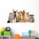 Group of Cats and Dogs in Front. Looking at Camera. Isolated Wall Decal