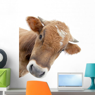 Cow shown on a wall