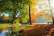 Autumn landscape  