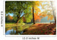 Autumn landscape  