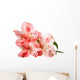 pink lily flower Wall Decal