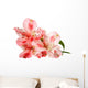 pink lily flower Wall Decal