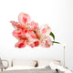 pink lily flower Wall Decal