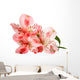 pink lily flower Wall Decal