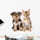 Purebred Bengal Kitten and Yorkshire Terrier Puppy. Isolated Wall Decal