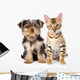 Purebred Bengal Kitten and Yorkshire Terrier Puppy. Isolated Wall Decal