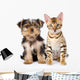 Purebred Bengal Kitten and Yorkshire Terrier Puppy. Isolated Wall Decal