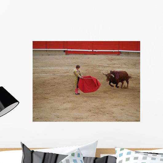 The Bull and Bullfighter 