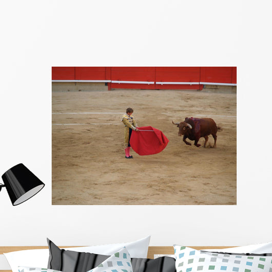 The Bull and Bullfighter 