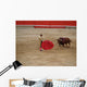 The Bull and Bullfighter 
