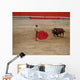 The Bull and Bullfighter 