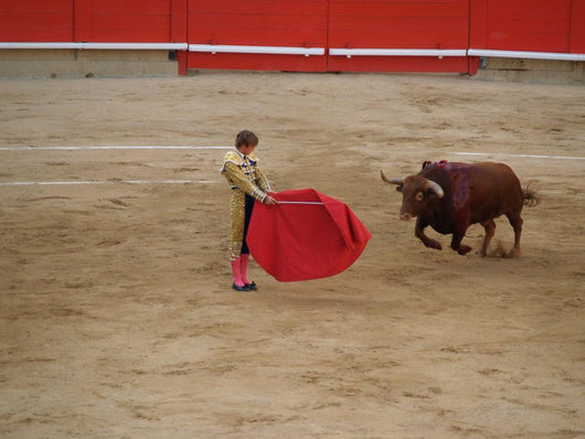 The Bull and Bullfighter 