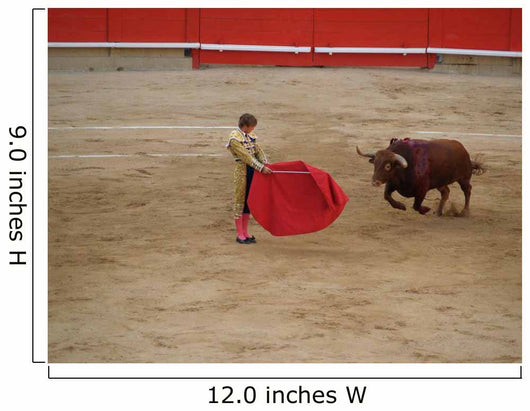 The Bull and Bullfighter 